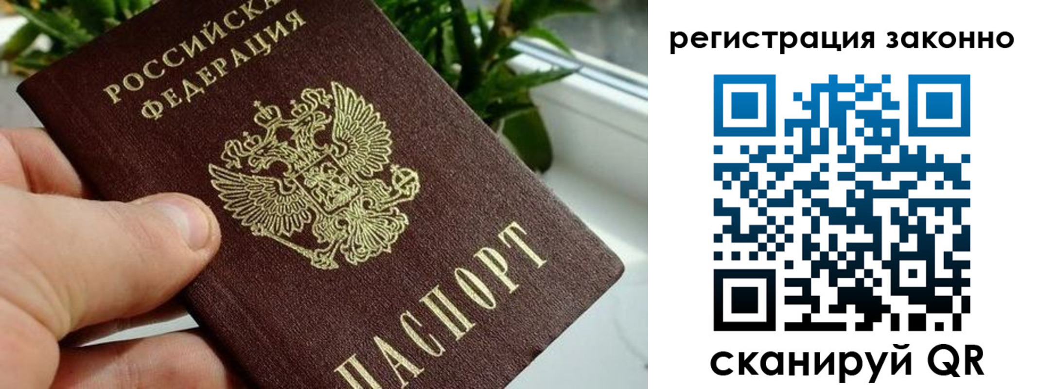 прописка гарантия в Слободской